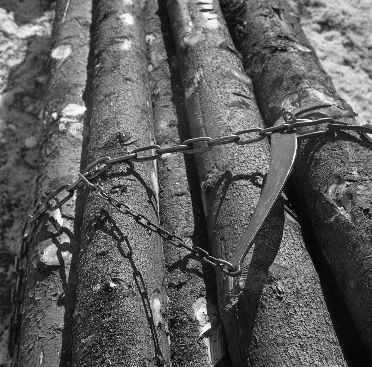 En såkalt bendingsbjønn, et jern med kjettinger og kroker som ble brukt til å stramme jernlenkene som ble lagt over tømmerlassene for å låse kjettingene i en posisjon der de holdt godt på tømmeret. Fotografiet er fra et lass med ubarket grantømmer som Jørgen Larsen fra Hernes i Elverum kjørte på en «rustning» i Stavåsen vinteren 1971.