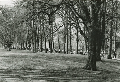 Maratonlopp genom Slottsparken.