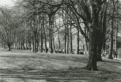 Maratonlopp genom Slottsparken.