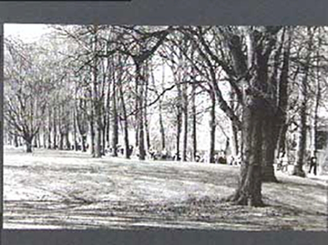 Maratonlopp genom Slottsparken.