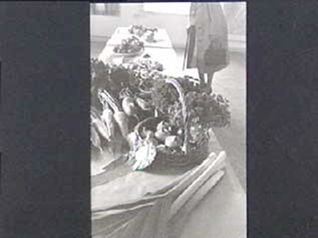 Hos familjen Cecilia och Ulf Möller, Gärdesg. 17, i deras koloni