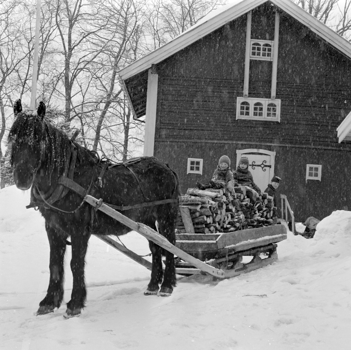 Kjøring av ved med hest og slede. Barn sitter på vedlasset