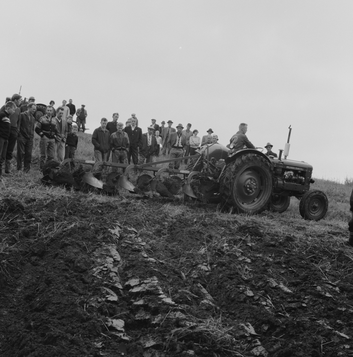 Pløying. Pløyetevling med tilskuere, BUL 1961-63