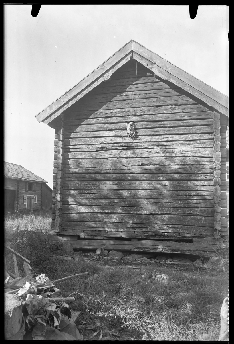 Sädesbod på Vigelshusgård, Tärnaby, Sala.