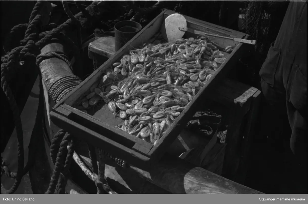 Fiskehandlere på Vågen. En kasse reker fra Torghandel, salg fra en båt.