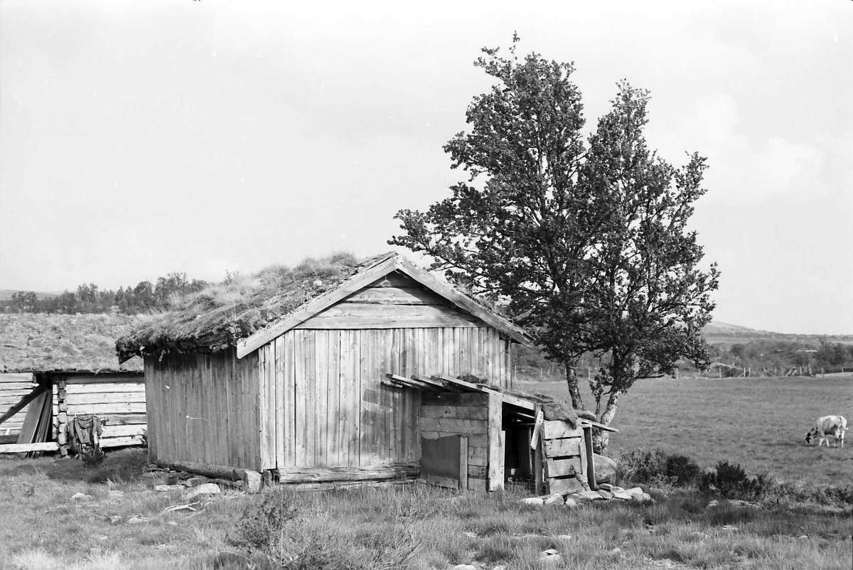 Seterflytting fra Umundsgården til Klettdal. 