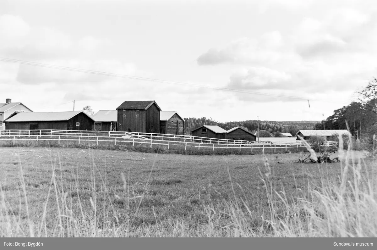 Lantgård i Sköle by i Matfors med mangårdsbyggnad och ekonomibyggnader. Skölevägen 27-29. Gården är numera (2020) delad i två fastigheter, mangårdsbyggnaden är privatbostad och större delen av ekonomibyggnader och mark är ridskola och ägs av Matfors ryttarförening.