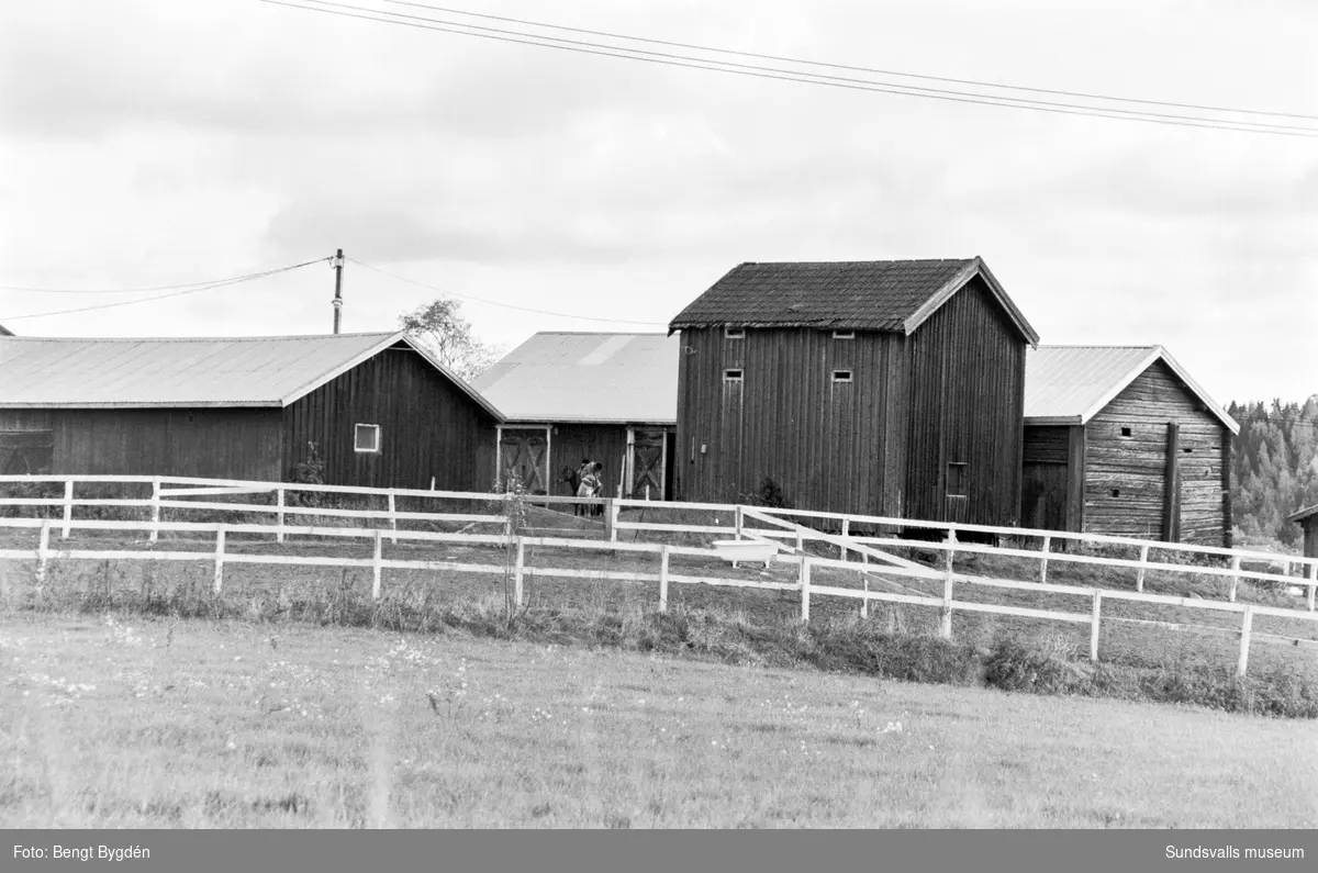 Lantgård i Sköle by i Matfors med mangårdsbyggnad och ekonomibyggnader. Skölevägen 27-29. Gården är numera (2020) delad i två fastigheter, mangårdsbyggnaden är privatbostad och större delen av ekonomibyggnader och mark är ridskola och ägs av Matfors ryttarförening.