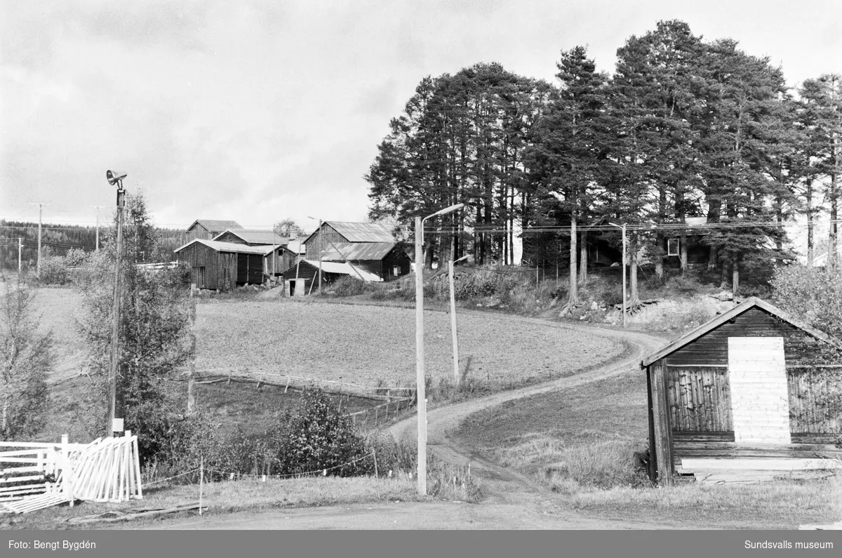 Lantgård i Sköle by i Matfors med mangårdsbyggnad och ekonomibyggnader. Skölevägen 27-29. Gården är numera (2020) delad i två fastigheter, mangårdsbyggnaden är privatbostad och större delen av ekonomibyggnader och mark är ridskola och ägs av Matfors ryttarförening.