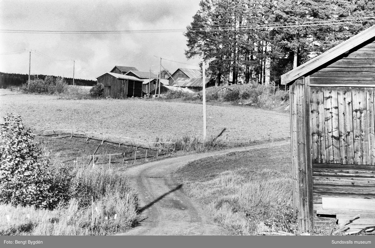 Lantgård i Sköle by i Matfors med mangårdsbyggnad och ekonomibyggnader. Skölevägen 27-29. Gården är numera (2020) delad i två fastigheter, mangårdsbyggnaden är privatbostad och större delen av ekonomibyggnader och mark är ridskola och ägs av Matfors ryttarförening.