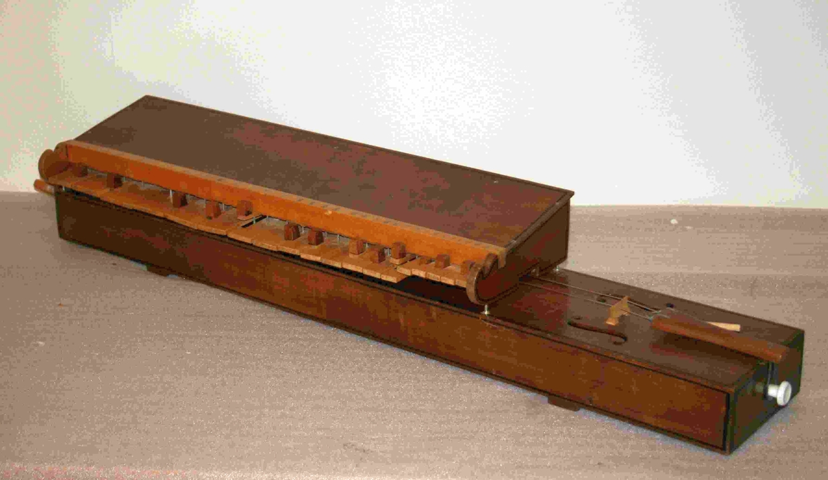 Salmodikon, med tilhørende klaviatur. Spilles med bue [mangler].

Kasse av nåletre. Hel bunn, flat lokk, et stykke på hver side. Lakkert. En malt/innbrent(?) dekorlinje.  To lydhull. Lydpinne festet med snor, det vil si justerbar. To strenger av nylon. Strengeholder av løvtre. Endeknapp i plast. To grove stemmeskruer (løvtre). Flat grov stol.

Tastatur
Mekanikkasse av nåletre. Hoder på spiker i de fire hjørner passer til urgröpningar på kassens lokk.
31 taster, c-g’’, kromatisk, unntatt ”c#” som er en blindetast. Undertaster av bjørk(?); overtaster ditto, med kub-formet lakkerte halvtoner. Styrstifter av spik(!). Hengslinger av resorband festet på oversiden av tasten ved en skrue og skålformet plate, samt i bakre vegg.
Tangenter (sammenlikne med et klavikord!) av løvtre, med urtag for strengen. Posisjoner for tangenter på underside av taster markert med blyantstreker. Skala ikke oppmålt (men se bilder med linjal).