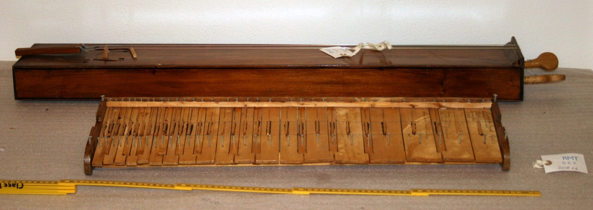 Salmodikon, med tilhørende klaviatur. Spilles med bue [mangler].

Kasse av nåletre. Hel bunn, flat lokk, et stykke på hver side. Lakkert. En malt/innbrent(?) dekorlinje.  To lydhull. Lydpinne festet med snor, det vil si justerbar. To strenger av nylon. Strengeholder av løvtre. Endeknapp i plast. To grove stemmeskruer (løvtre). Flat grov stol.

Tastatur
Mekanikkasse av nåletre. Hoder på spiker i de fire hjørner passer til urgröpningar på kassens lokk.
31 taster, c-g’’, kromatisk, unntatt ”c#” som er en blindetast. Undertaster av bjørk(?); overtaster ditto, med kub-formet lakkerte halvtoner. Styrstifter av spik(!). Hengslinger av resorband festet på oversiden av tasten ved en skrue og skålformet plate, samt i bakre vegg.
Tangenter (sammenlikne med et klavikord!) av løvtre, med urtag for strengen. Posisjoner for tangenter på underside av taster markert med blyantstreker. Skala ikke oppmålt (men se bilder med linjal).