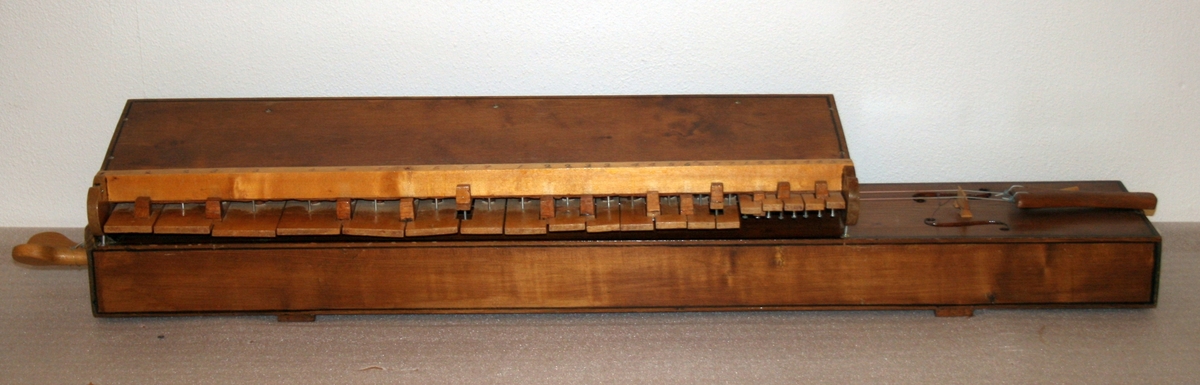 Salmodikon, med tilhørende klaviatur. Spilles med bue [mangler].

Kasse av nåletre. Hel bunn, flat lokk, et stykke på hver side. Lakkert. En malt/innbrent(?) dekorlinje.  To lydhull. Lydpinne festet med snor, det vil si justerbar. To strenger av nylon. Strengeholder av løvtre. Endeknapp i plast. To grove stemmeskruer (løvtre). Flat grov stol.

Tastatur
Mekanikkasse av nåletre. Hoder på spiker i de fire hjørner passer til urgröpningar på kassens lokk.
31 taster, c-g’’, kromatisk, unntatt ”c#” som er en blindetast. Undertaster av bjørk(?); overtaster ditto, med kub-formet lakkerte halvtoner. Styrstifter av spik(!). Hengslinger av resorband festet på oversiden av tasten ved en skrue og skålformet plate, samt i bakre vegg.
Tangenter (sammenlikne med et klavikord!) av løvtre, med urtag for strengen. Posisjoner for tangenter på underside av taster markert med blyantstreker. Skala ikke oppmålt (men se bilder med linjal).