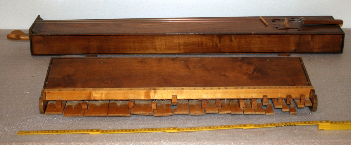 Salmodikon, med tilhørende klaviatur. Spilles med bue [mangler].

Kasse av nåletre. Hel bunn, flat lokk, et stykke på hver side. Lakkert. En malt/innbrent(?) dekorlinje.  To lydhull. Lydpinne festet med snor, det vil si justerbar. To strenger av nylon. Strengeholder av løvtre. Endeknapp i plast. To grove stemmeskruer (løvtre). Flat grov stol.

Tastatur
Mekanikkasse av nåletre. Hoder på spiker i de fire hjørner passer til urgröpningar på kassens lokk.
31 taster, c-g’’, kromatisk, unntatt ”c#” som er en blindetast. Undertaster av bjørk(?); overtaster ditto, med kub-formet lakkerte halvtoner. Styrstifter av spik(!). Hengslinger av resorband festet på oversiden av tasten ved en skrue og skålformet plate, samt i bakre vegg.
Tangenter (sammenlikne med et klavikord!) av løvtre, med urtag for strengen. Posisjoner for tangenter på underside av taster markert med blyantstreker. Skala ikke oppmålt (men se bilder med linjal).