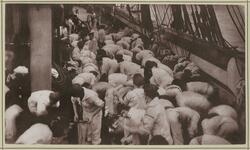 Zeug-Wäsche. Waschen