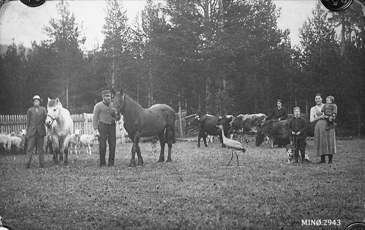 Personer, hester, ku, sau. 