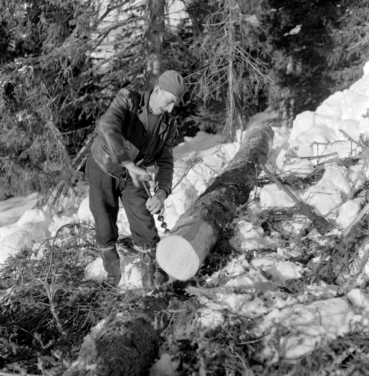 Øying med navar med henblikk på hankekjøring. Skogsarbeider Kristoffer Kronberget borer hull i toppenden av rotstokken av ei nyfelt gran. Han dreier handtaket på det T-formete redskapet med den høyre handa og styrer boraksen med den venstre.  Stokkenden hvor det bores er barket, ellers er stokken foreløpig ubarket.  Den måtte barkes, i hvert fall på den sida som ble liggende mot underlaget om den skulle kunne hankekjøres. Fotografiet ble tatt i samband med at Norsk Skogbruksmuseum i mars 1967 gjorde opptak til en film om hankekjøringstradisjonene i Vestre Gausdal.  Stokken på bildet var antakelig blant dem som ble transportert ned den bratte lia under filmopptakene og Kristoffer Kronberget var en av hovedaktørene i filmen.