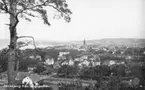 Vykort med motiv över Jönköping och Vättern, tagen från Stadsparken. Bäckalyckan var ett av de områden som togs i bruk av den växande staden vid 1900-talets början. Här byggdes villor på mark som avstyckats från Bäckalycke gård, vars allé (nuvarande Bäckalyckevägen) syns i förgrunden.