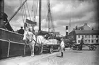 I Jönköping vid Munksjöns kaj vid Fisktorget pågår omlastning mellan båt- och hästtransporter.