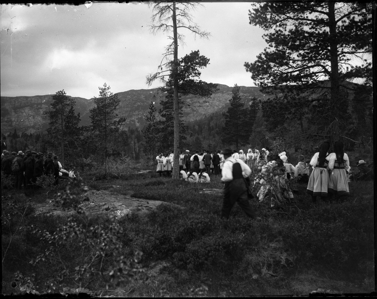 Motiv med rinddans, felespiller og publikum.

Fotosamlingen etter Olav Tarjeison Midtgarden Metveit (1889-1974), Fyresdal. Senere (1936) kalte han seg Olav Geitestad.