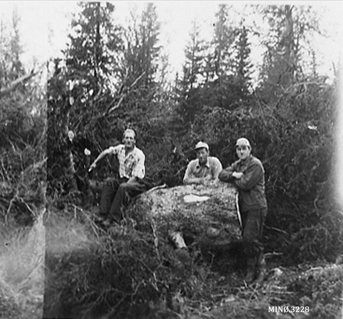 Tre skogsarbeidere i skogen. 