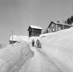 Anno Norsk skogmuseum