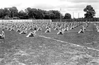 Gymnastikfesten 3 juni 1934 på Arosvallen i Västerås.