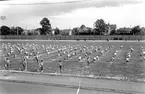 Gymnastikfesten 3 juni 1934 på Arosvallen i Västerås.