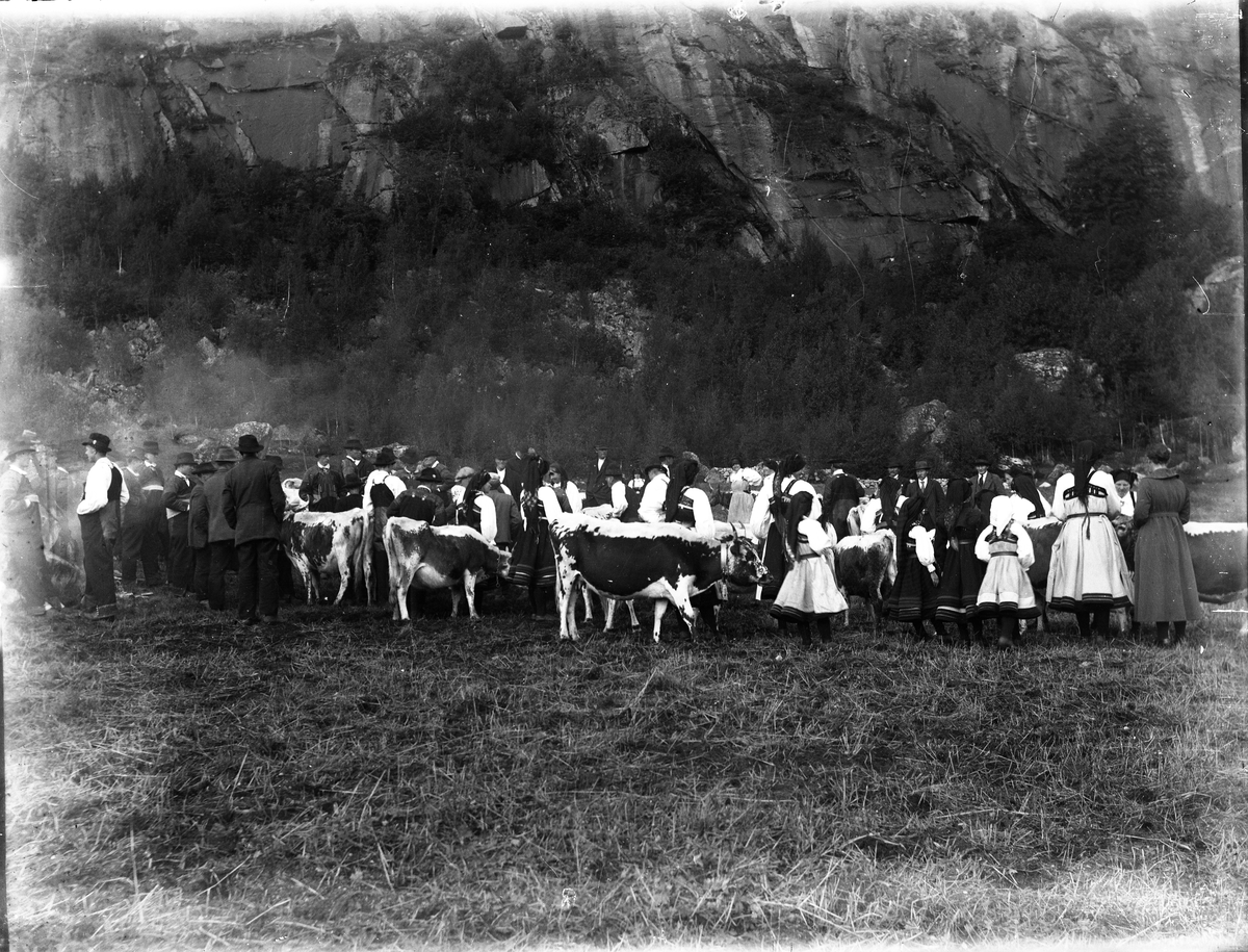 Motiv fra fesjå i Fyresdal.

Fotosamlingen etter Olav Tarjeison Midtgarden Metveit, (1889-1974), Fyresdal. Senere (1936) kalte han seg Olav Geitestad.