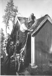 Tre menn reparerer torvtak på "Sorglaushytta".