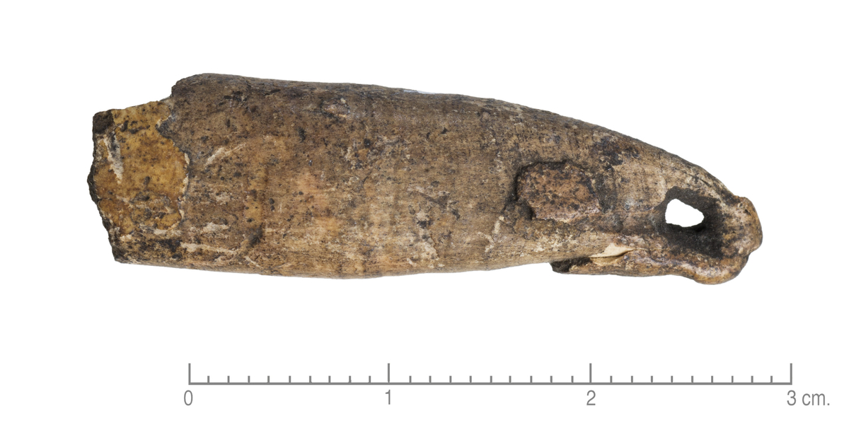 "Den avbrukkede rot av en tann, visstnok fortann av drøvtygger, ikke menneske eller hund (efter bestemmelse av professor dr. Aug. Brinkmann, Bergen). Sl. Muller: Ordning Stenalderen fig. 45. Lengde 3,3 cm., største bredde 1 cm. Gjennemboret med et hull opimot rotspissen og da sikkerlig anvendt som smykke."
I samsvar med opprinnelig beskrivelse.