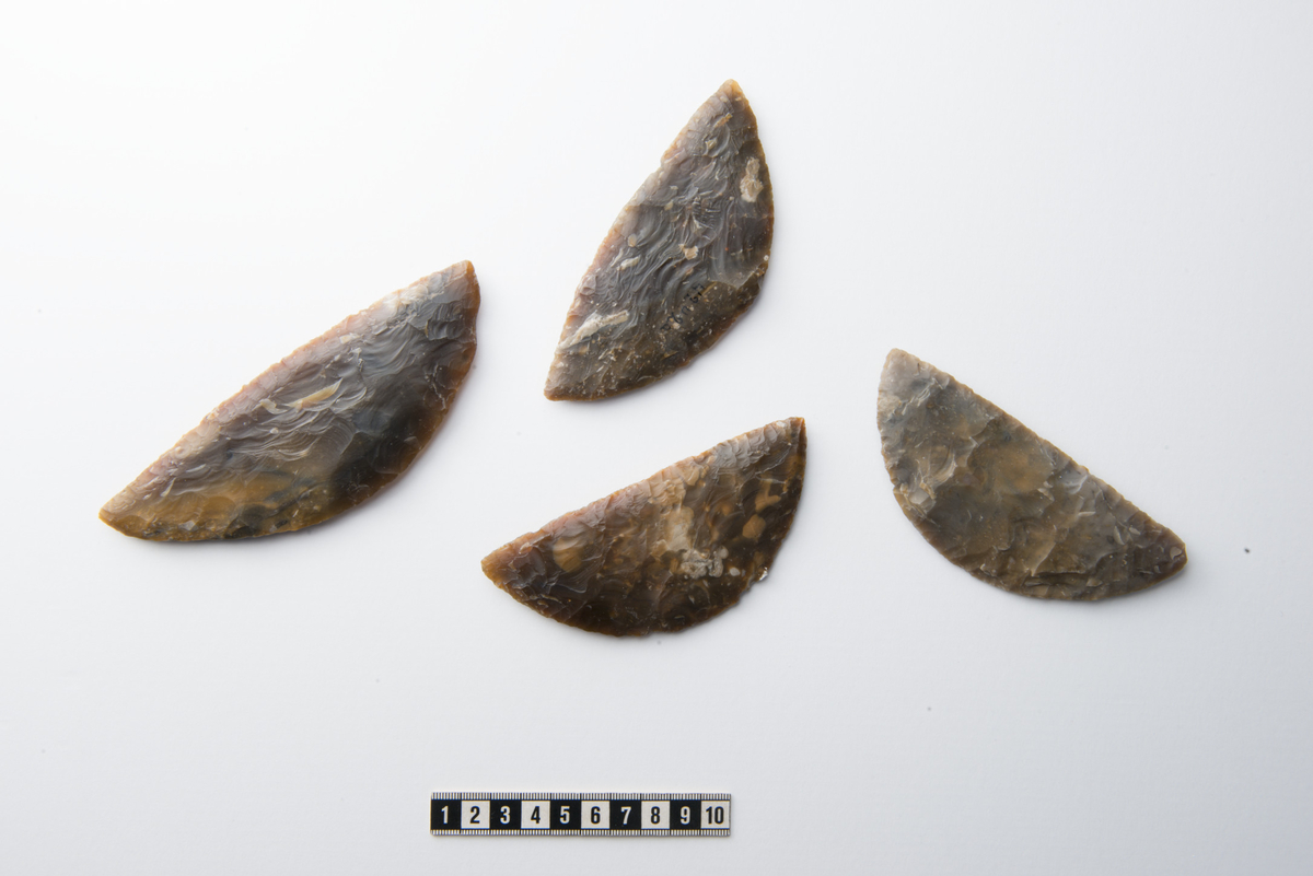 "4242. Sagblad av lys graabrun flint, nærmest = Gjessing: Rogalands stenalder fig. 235. 12,2 cm. lang, 5,1 cm. bred. " Ny beskrivelse etter revisjon:  
Symmetrisk, halvmåneformet sigd i gråbrun flint med tilnærmet rett eller svakt konveks egg og høyt hvelvet rygg. Stl.: 122 mm, stb.: 51 mm, stt.: 9 mm.