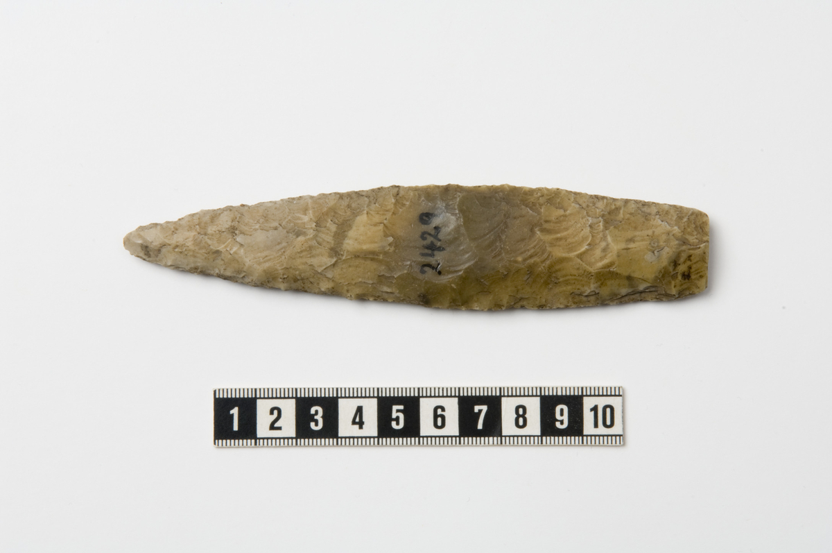 "2429. Spydspids af lys flint, 14 cm lang og 3 cm bred. Et stykke af basis er afslaaet. " Ny beskrivelse etter revisjon:   Lansettformet spydspiss av flateretusjert flint, i samsvar med beskrivelsen. L: 141 mm, stbr: 31 mm, stt: 9 mm.  Største bredde ligger litt nedenfor midten.