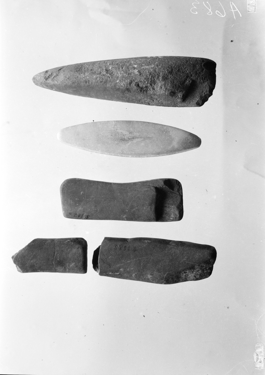 Spissnakket trinnøks, sl. Gjessing l. c. fig. 61, beskadiget i eggpartiet. 16,1 cm. l., 4,3 cm. b. 