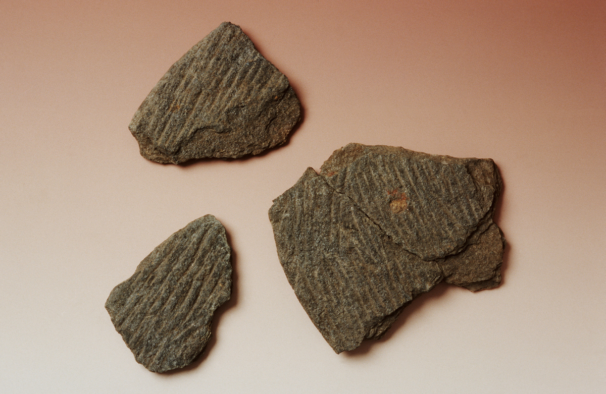 "To steikehellefragment av glimmerskifer, begge med kanten bevart, kanskje frå same hella som IX f 16. St.m. 11.1 og 10.4 cm (239)."