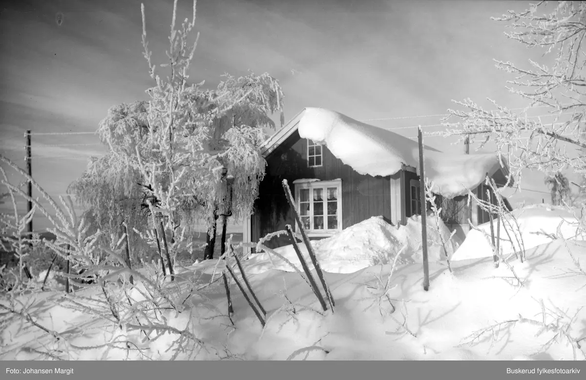 Vintermotiv fra Ringkollen - området