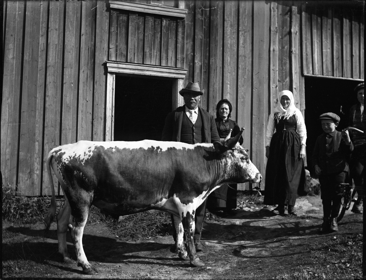 Gruppeportrett med folk og telemarksku.

Fotosamlingen etter Olav Tarjeison Midtgarden Metveit (1889-1974), Fyresdal. Senere (1936) kalte han seg Olav Geitestad.