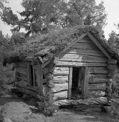 Hvetestove i Ulvedalen, Stryn, Sogn of Fjordane.