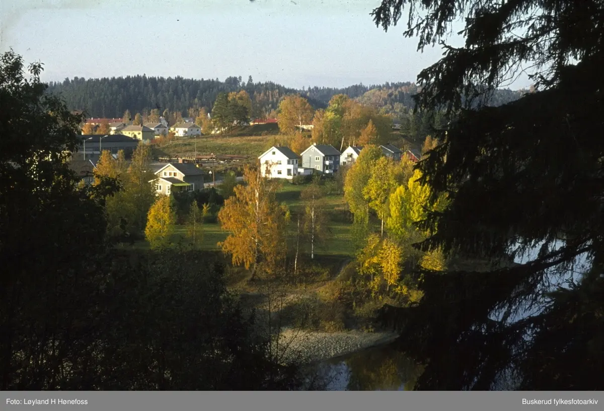 Landskap og bebyggelse, sett mot Hønen. I bakgrunnen kan man se gravhaugen Kongshaugen med lite vegetasjon.