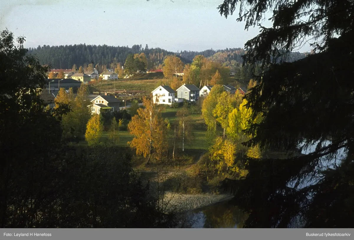 Landskap og bebyggelse, sett mot Hønen. I bakgrunnen kan man se gravhaugen Kongshaugen med lite vegetasjon.
