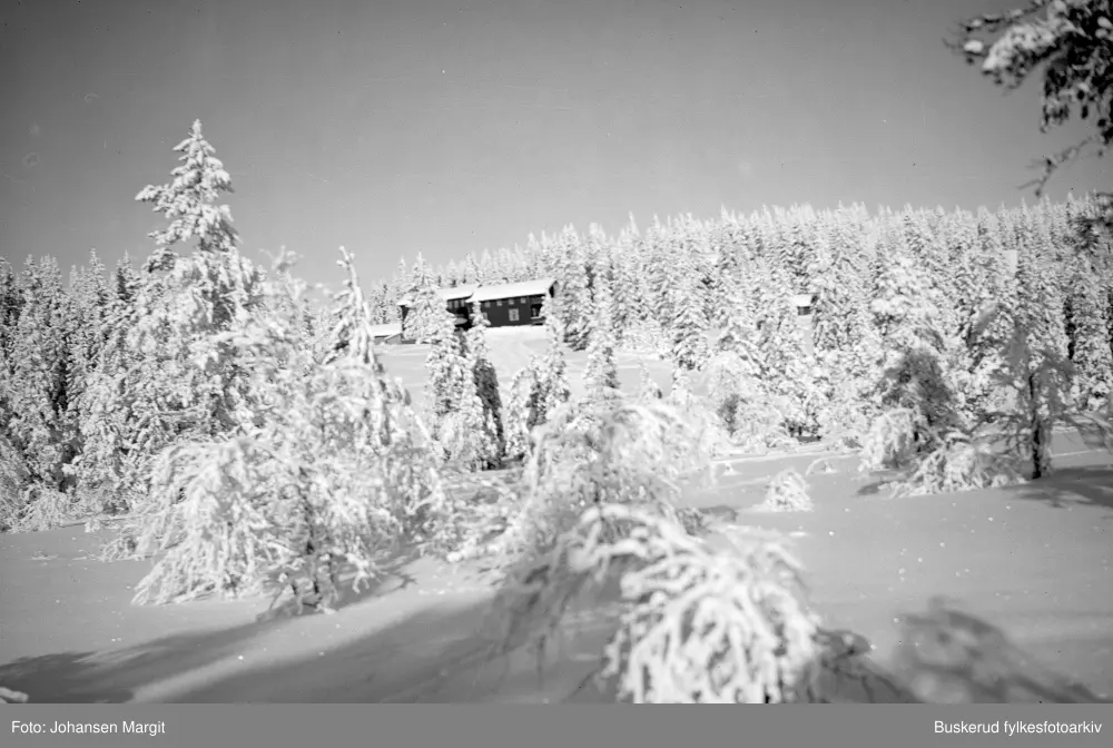 Vintermotiv fra Ringkollen - området