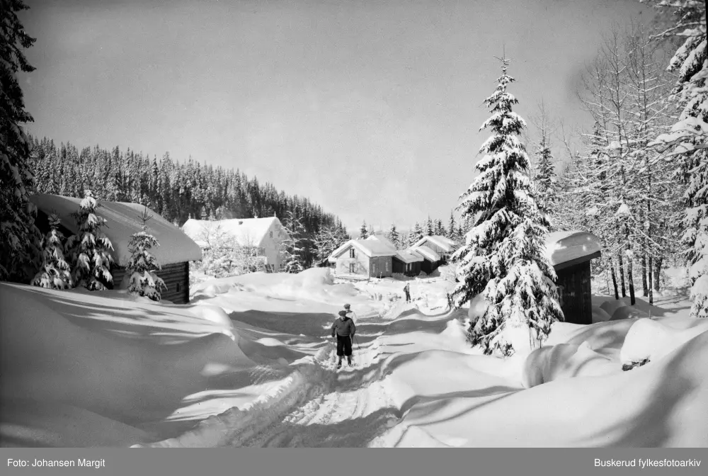 Vintermotiv Kleivstua