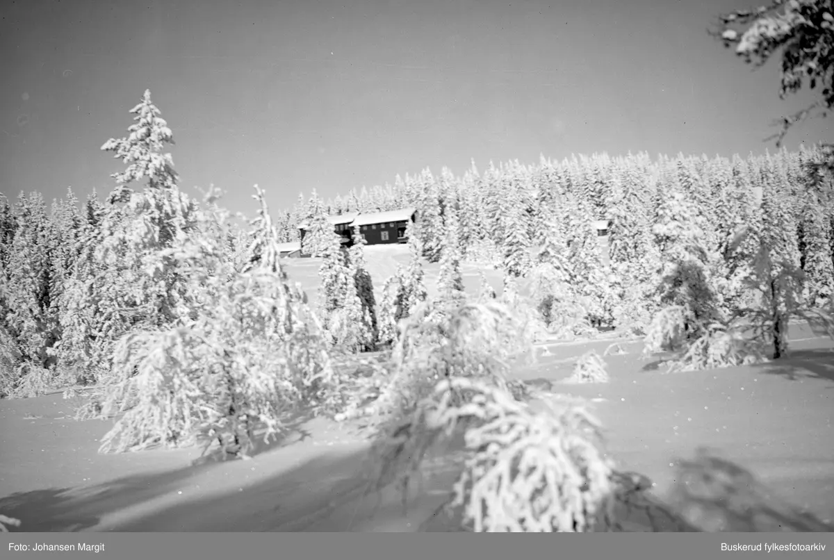 Vintermotiv fra Ringkollen - området