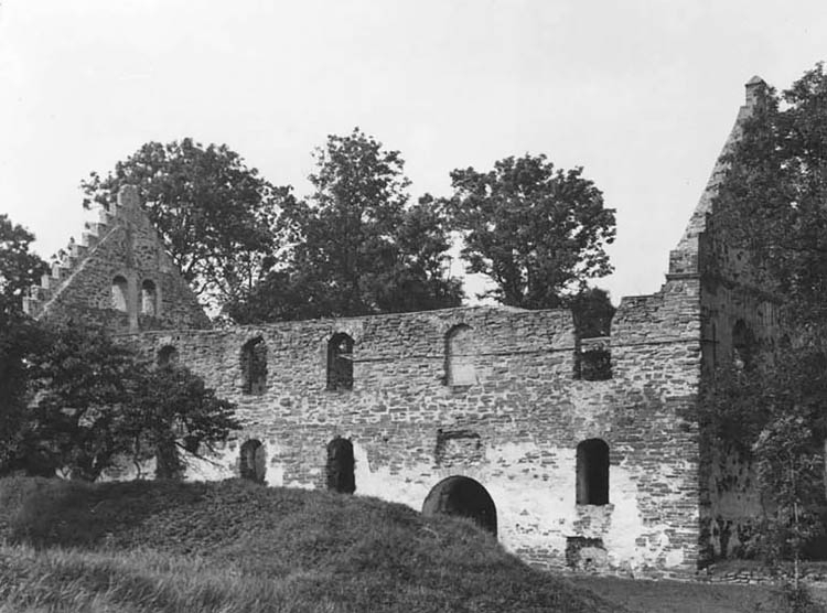 Visingsborgs slottsruin på Visingsö.