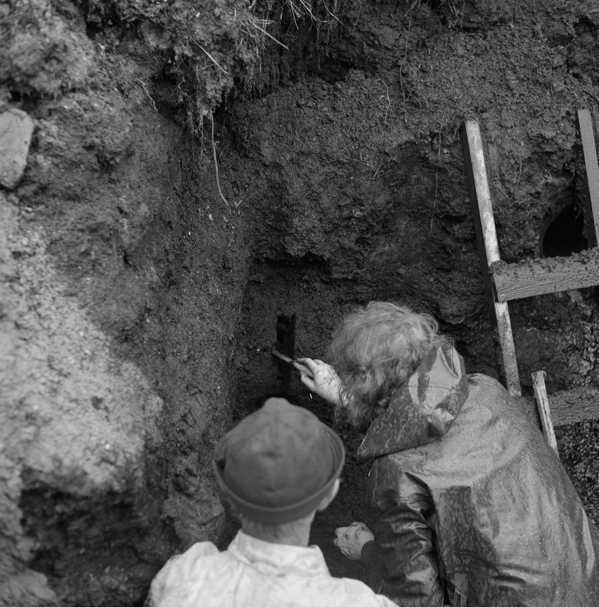 Kari Egede Henningsmoen tar jordprøver på Hov i Løten, Hedmark, høsten 1974. Det første gevirfunnet på Hov ble gjort i 1965, og året etter ble det foretatt en naturhistorisk oppfølgingsundersøkelse med blant annet pollenanalyser som skulle avklare hva slags miljø elgen hadde levd i og hvordan landskapet på Hov hadde endret seg etter istida. I 1974 gjorde Johan Skårholen et nytt gevirfunn under graving bare et par hundrede meter fra det forrige. C14-analyse antydet at dette andre gevirfunnet var om lag 8 500 år gammelt, om lag 500 år eldre enn det første. Den naturhistoriske ekspertisen rykket nok en gang ut for å gjøre oppfølgingsundersøkelser. Nye jordprøver ble tatt 7. og 8. september 1974 av Kari og Gunnar Henningsmoen, som ville rekonstruere de biologiske forholdene på funnstedet gjennom årtusener.

Se fanen «Opplysninger» og litteraturreferansene til dette fotografiet.