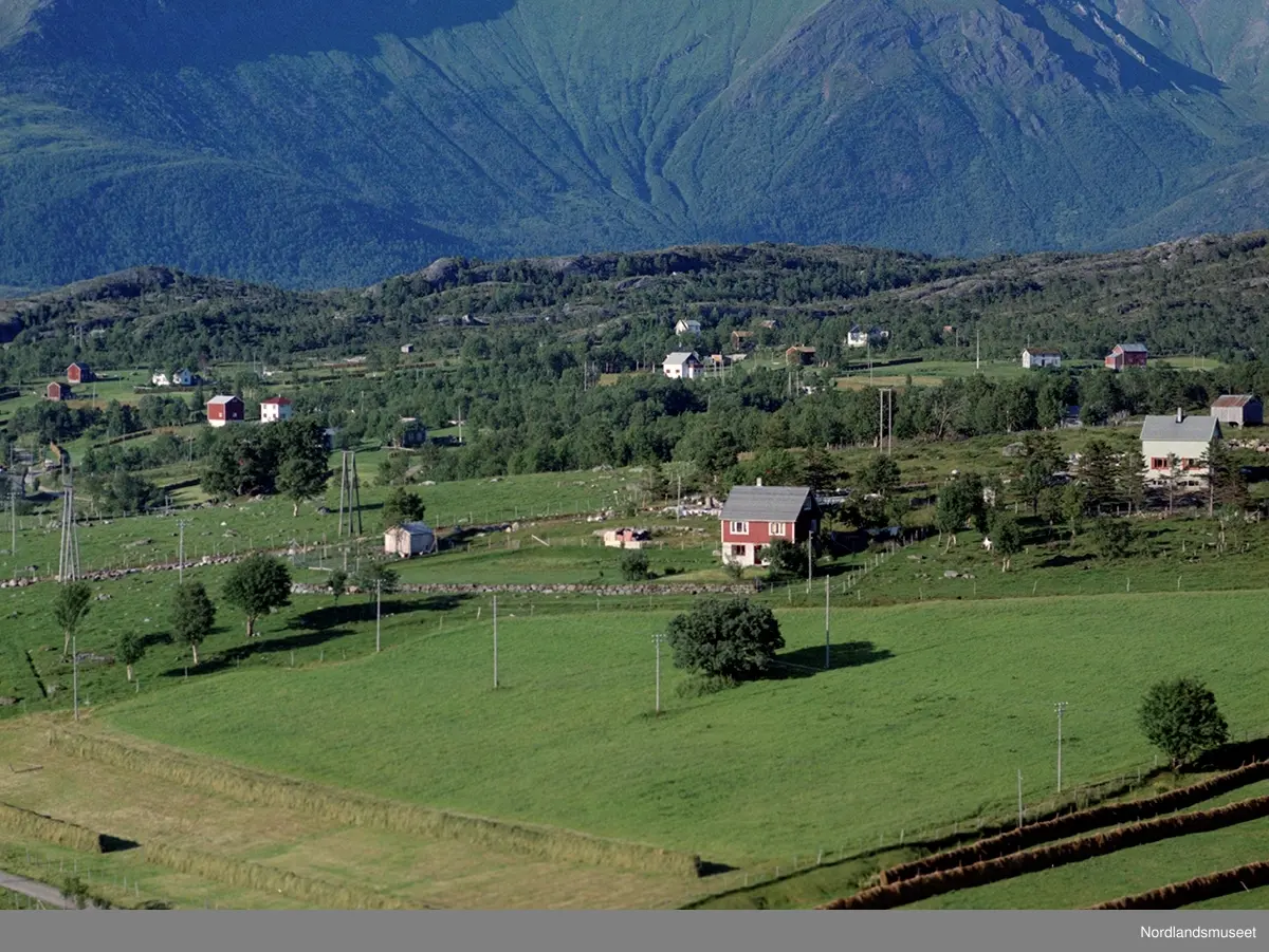 flyfoto av flere eiendommer på Halsa, oversiktsbilde
