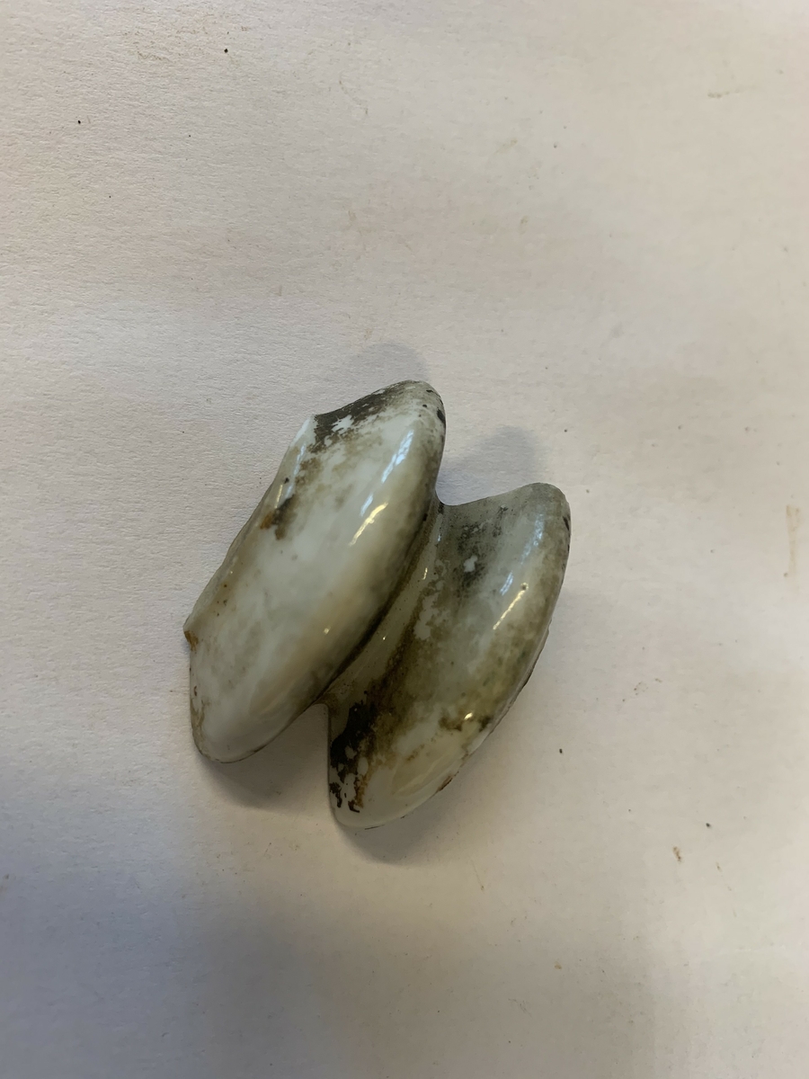 Del av porselensisolatorer som har vore brukt på gjerdet rundt konsentrasjonsleiren Sachsenhausen.