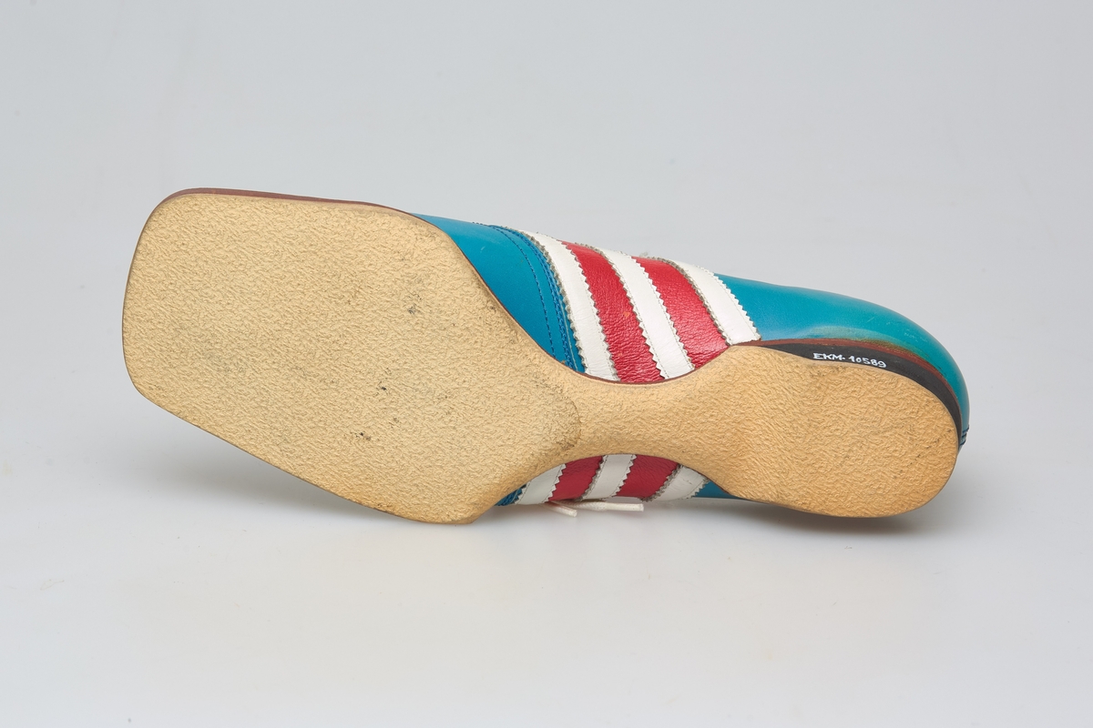 En skisko av turkisblått lær med røde og hvite striper på siden. Indre tunge og snøring med hvite skolisser. Beige såle av gummi.