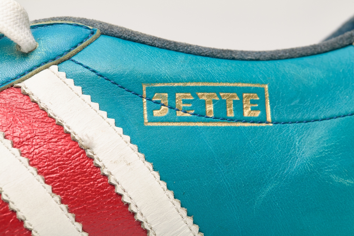 En skisko av turkisblått lær med røde og hvite striper på siden. Indre tunge og snøring med hvite skolisser. Beige såle av gummi.