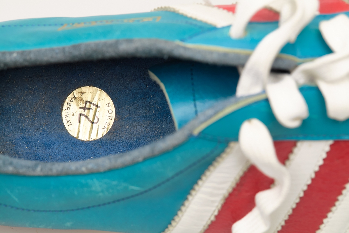 En skisko av turkisblått lær med røde og hvite striper på siden. Indre tunge og snøring med hvite skolisser. Beige såle av gummi.